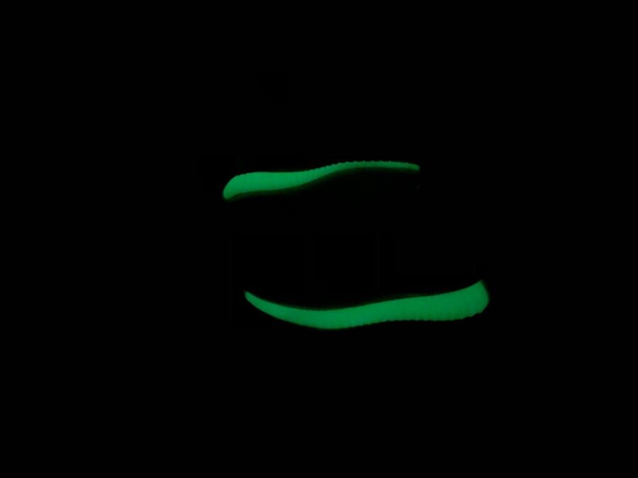 Adidas Yeezy Boost 350 v2 Neon Green